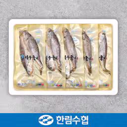 수협 제주 굴비 Jeju Yellow Corvina 100g*2