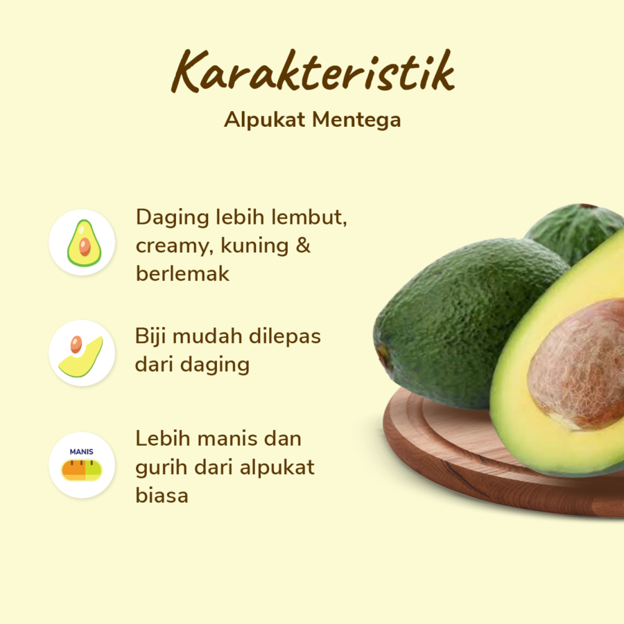 Alpukat Mentega 2-4 pcs 900-1000 gram_1