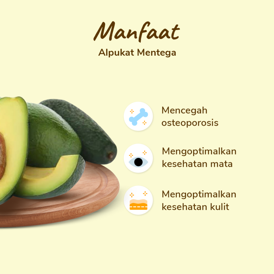 Alpukat Mentega 2-4 pcs 900-1000 gram_2
