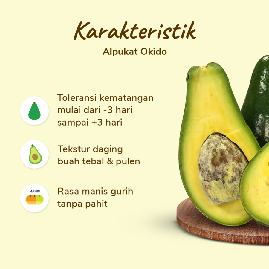 Alpukat Okido Premium Size L 500-700 gram 1pcs_1