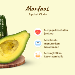 Alpukat Okido Premium Size L 500-700 gram 1pcs