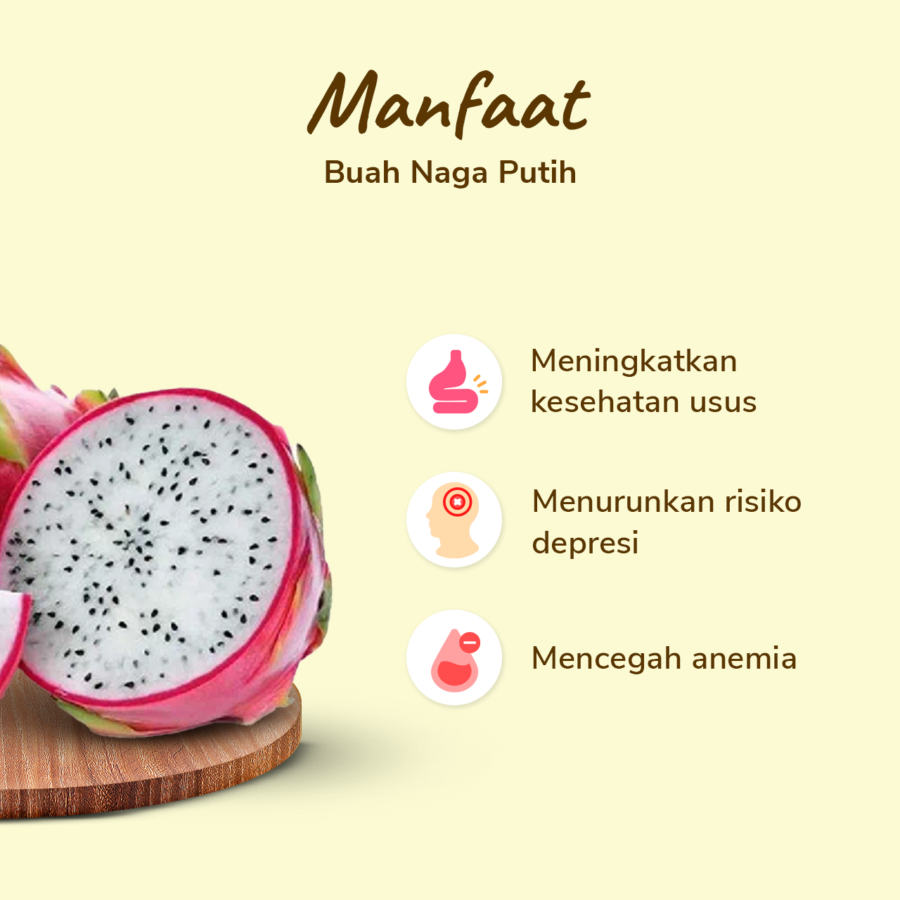 Buah Naga Putih 1kg_2