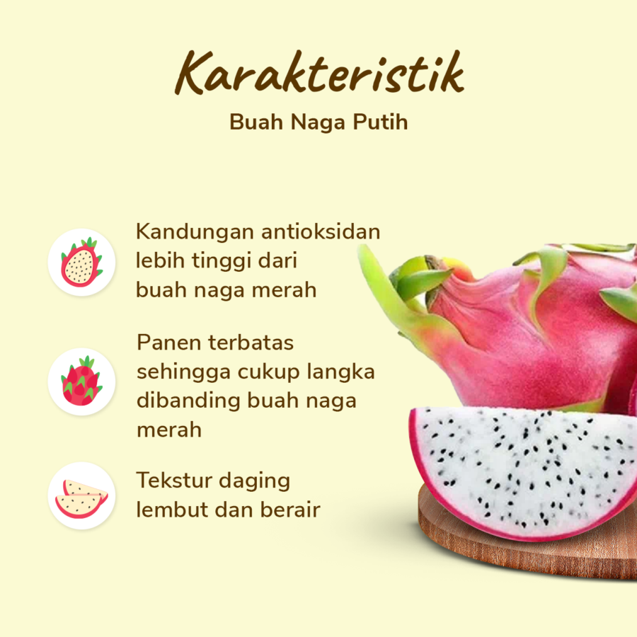Buah Naga Putih 1kg_1