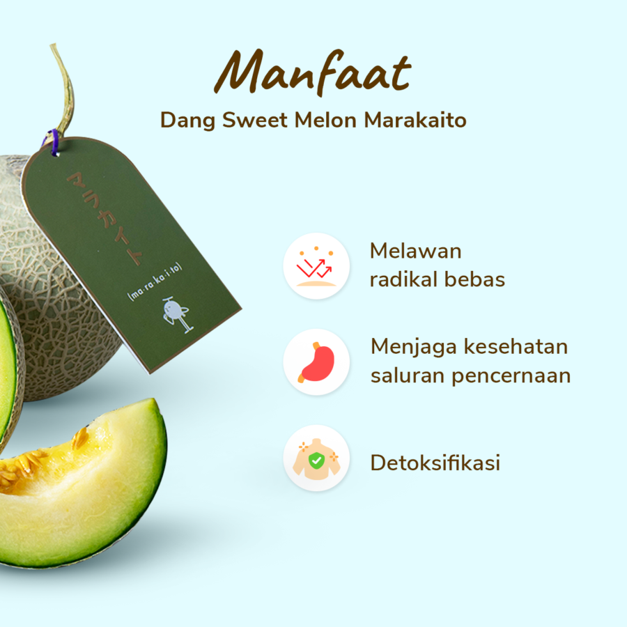 Dang Sweet Melon Marakaito 900-1200 gram_2