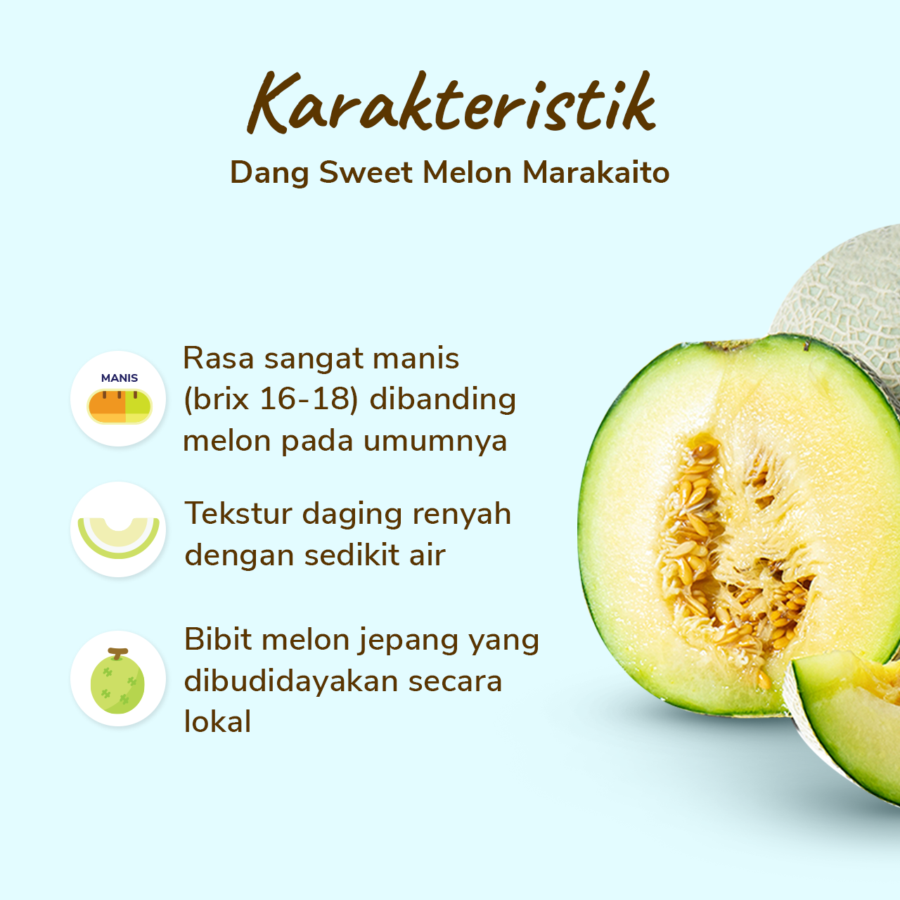Dang Sweet Melon Marakaito 900-1200 gram_1