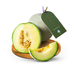 Dang Sweet Melon Marakaito 900-1200 gram