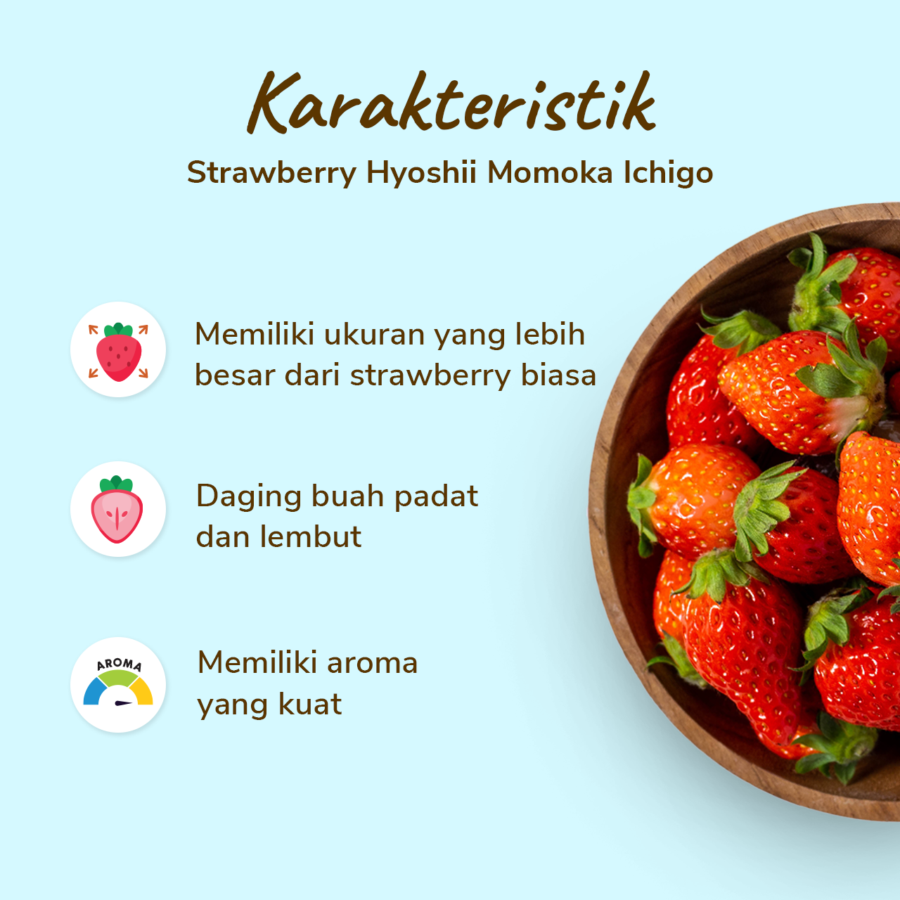 Hyoshii Strawberry Premium Momoka Ichigo Size M 11pcs_1