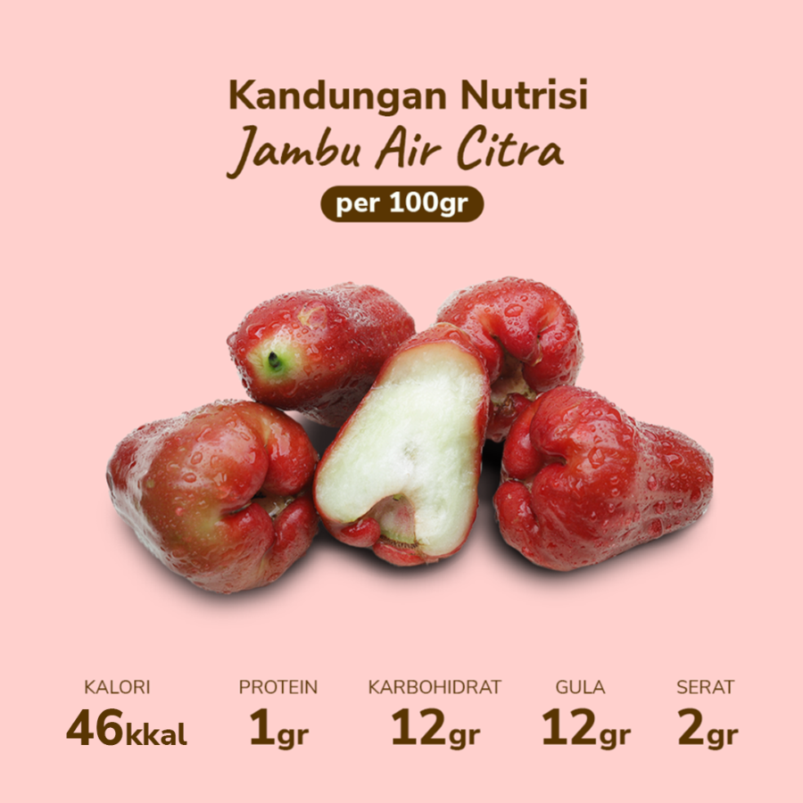 Jambu Air Citra 4-7 pcs 400-500 gram_3