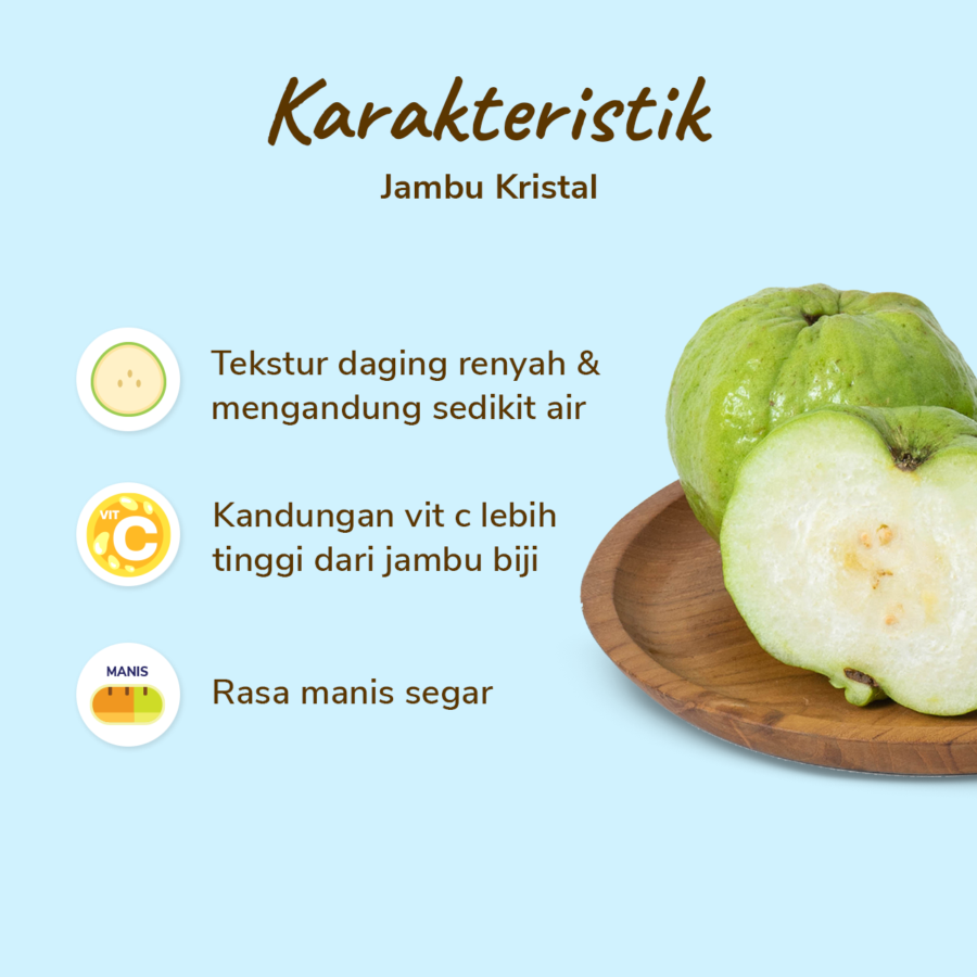 Jambu Kristal 2 pcs 500-600 gram_1