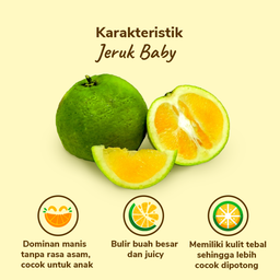 Jeruk Baby Lokal 3-4 pcs 460-500 gram