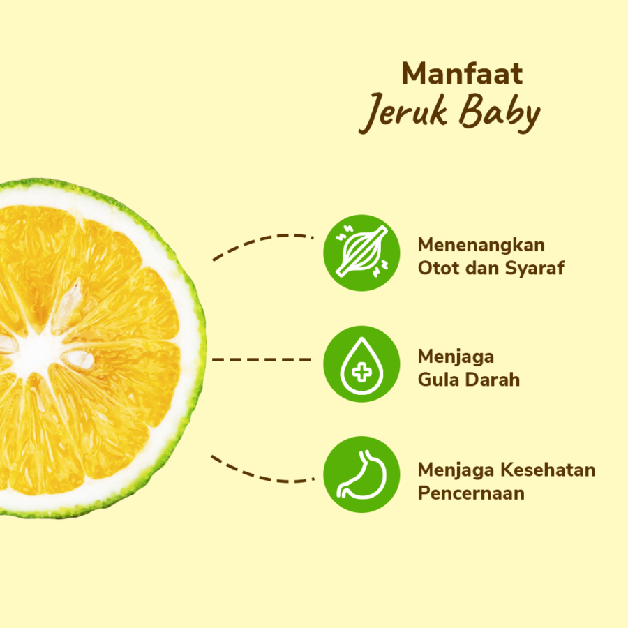 Jeruk Baby Lokal 3-4 pcs 460-500 gram_2