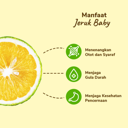 Jeruk Baby Lokal 3-4 pcs 460-500 gram