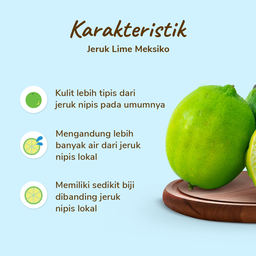 Jeruk Lime Premium 2-3 pcs 250-300 gram