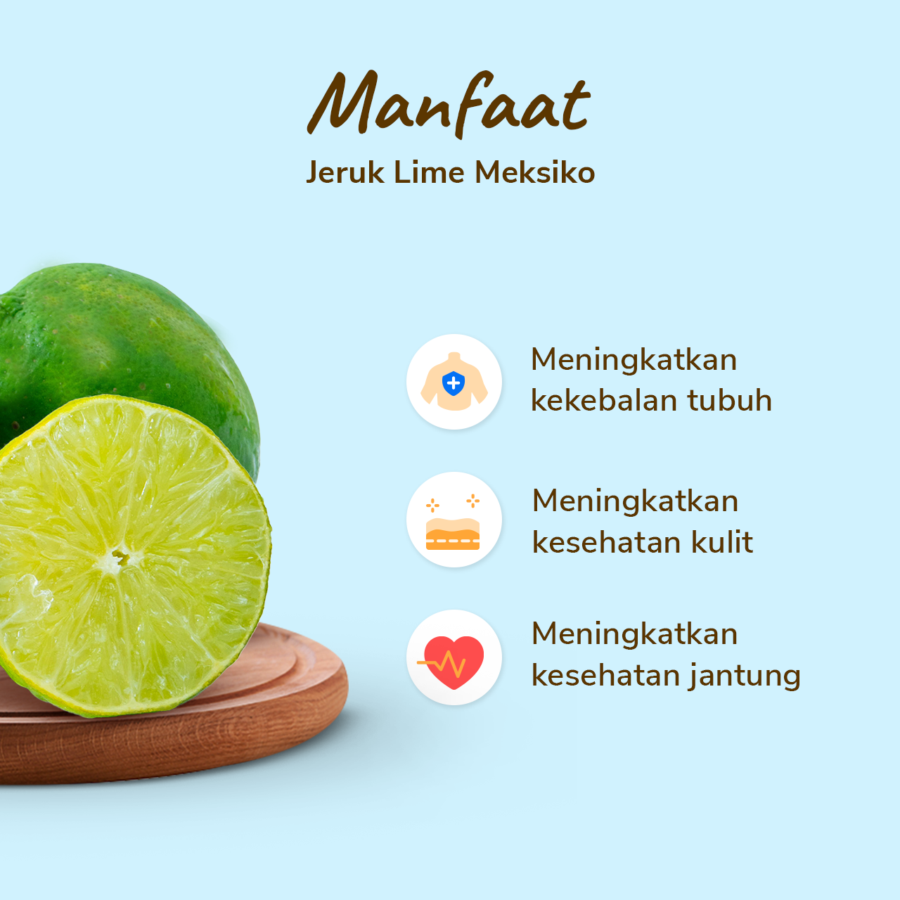 Jeruk Lime Premium 2-3 pcs 250-300 gram_2