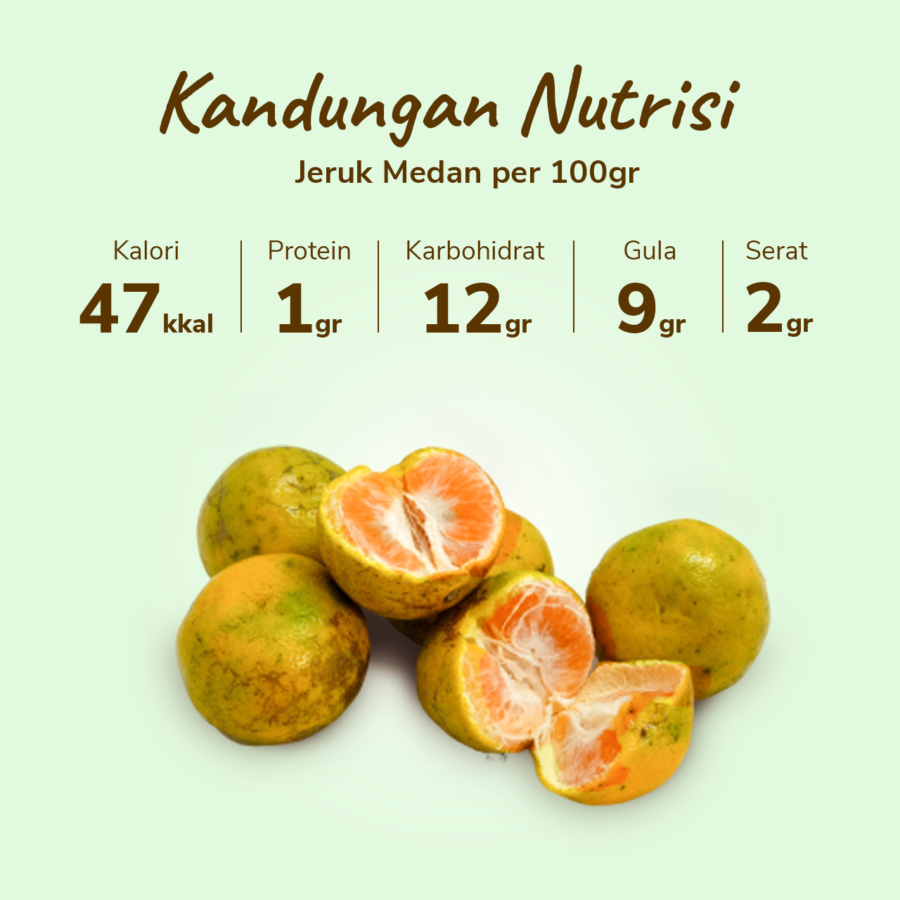 Jeruk Medan pack 4-5 pcs 450-500 gram_3