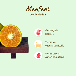 Jeruk Medan pack 4-5 pcs 450-500 gram
