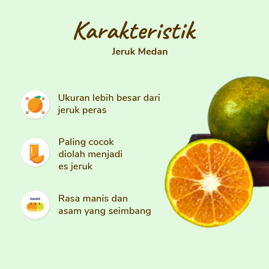 Jeruk Medan pack 4-5 pcs 450-500 gram_1