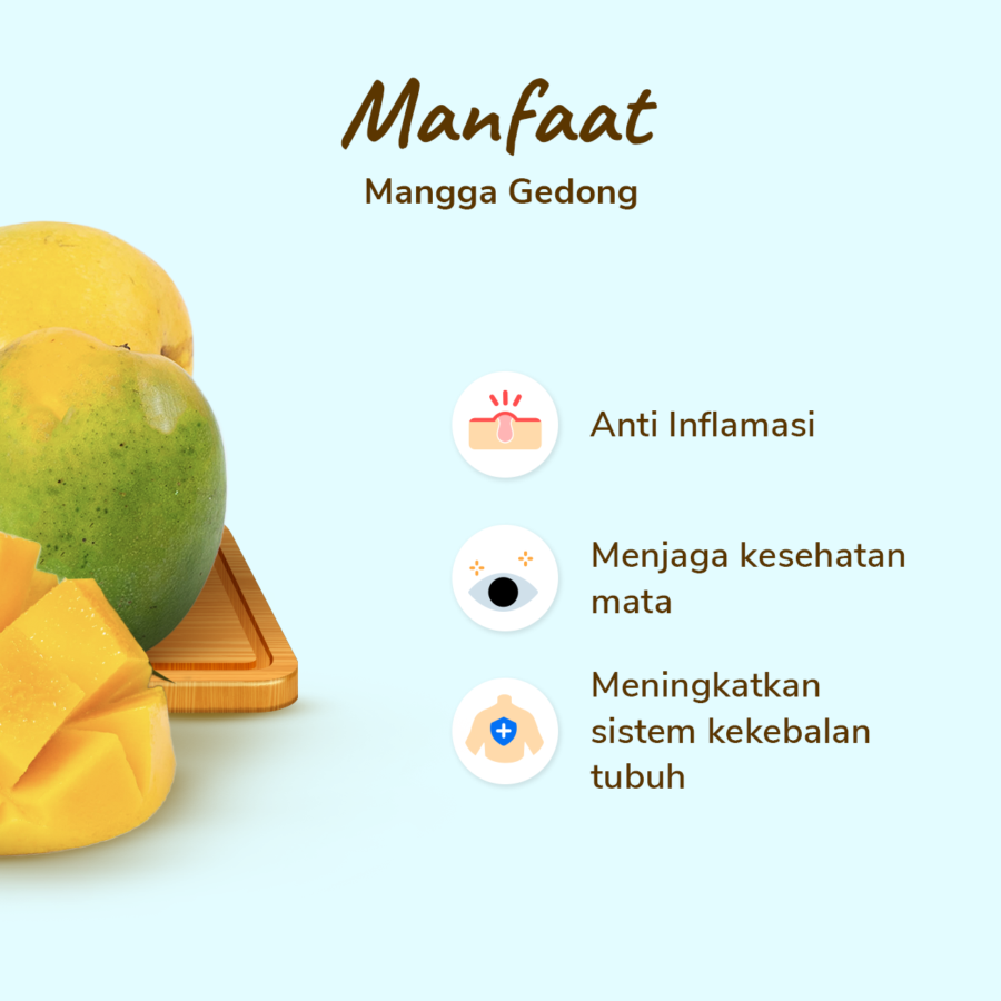 Mangga Gedong 2-3 pcs 400-500 gram_2