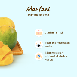 Mangga Gedong 2-3 pcs 400-500 gram
