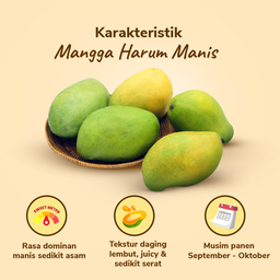 Mangga Harum Manis 1-2 pcs 400-500 gram