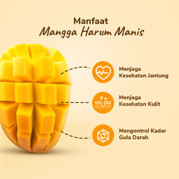 Mangga Harum Manis 2-3 pcs 900-1000 gram