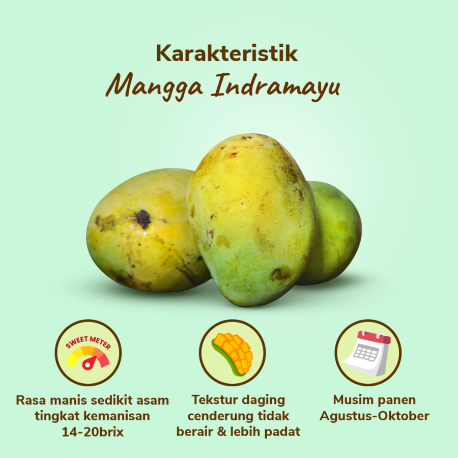 Mangga Indramayu 3-4 pcs 1-1.1kg_1
