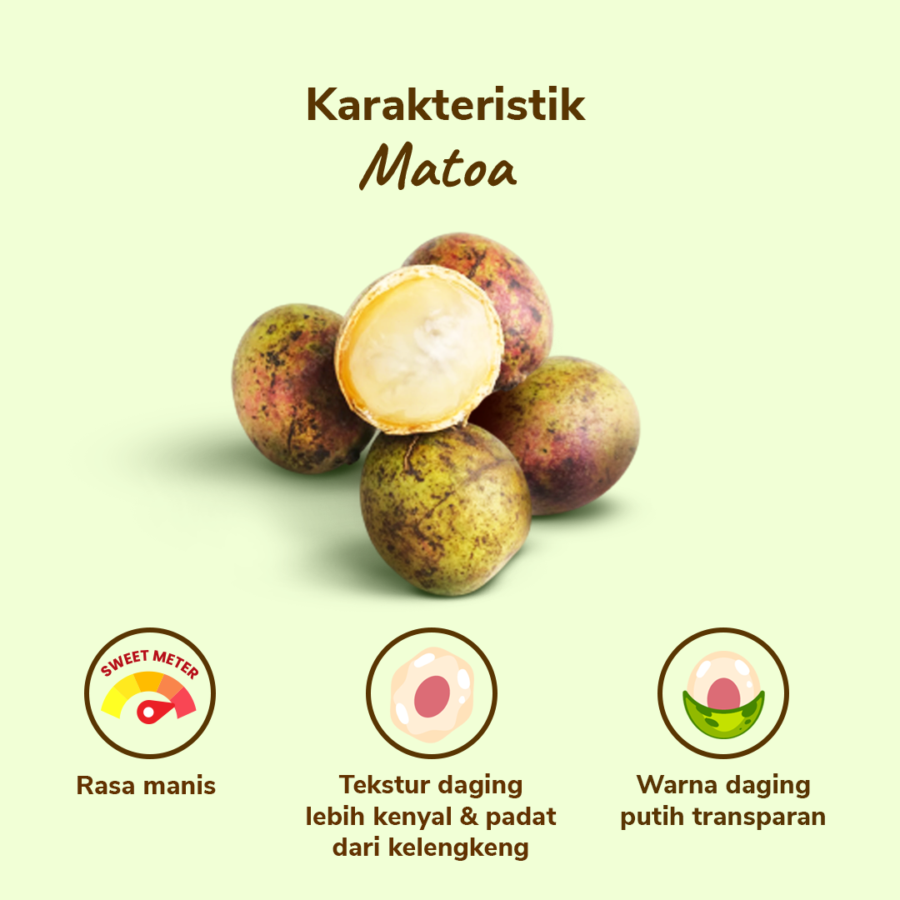 Matoa - 500gram_1