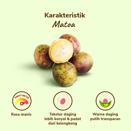 Matoa - 500gram
