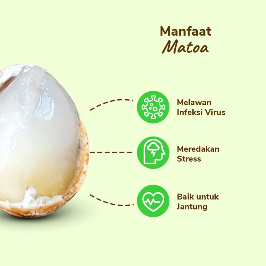 Matoa - 500gram_2
