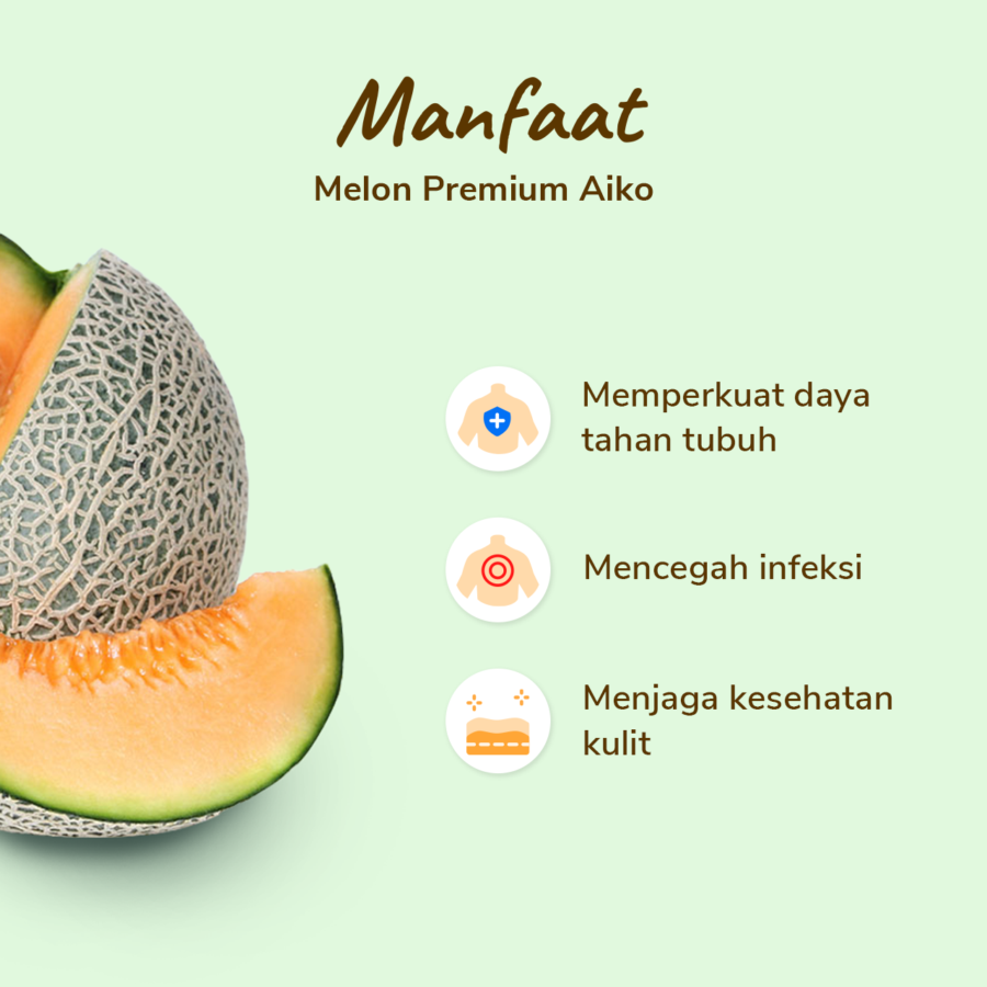 Melon Aiko Premium - Size L 900gr - 1.2kg/Pcs_2