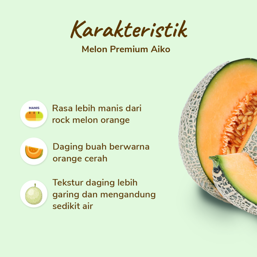 Melon Aiko Premium - Size L 900gr - 1.2kg/Pcs_1
