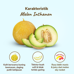 Melon Inthanon 1pcs 900-1200 gram