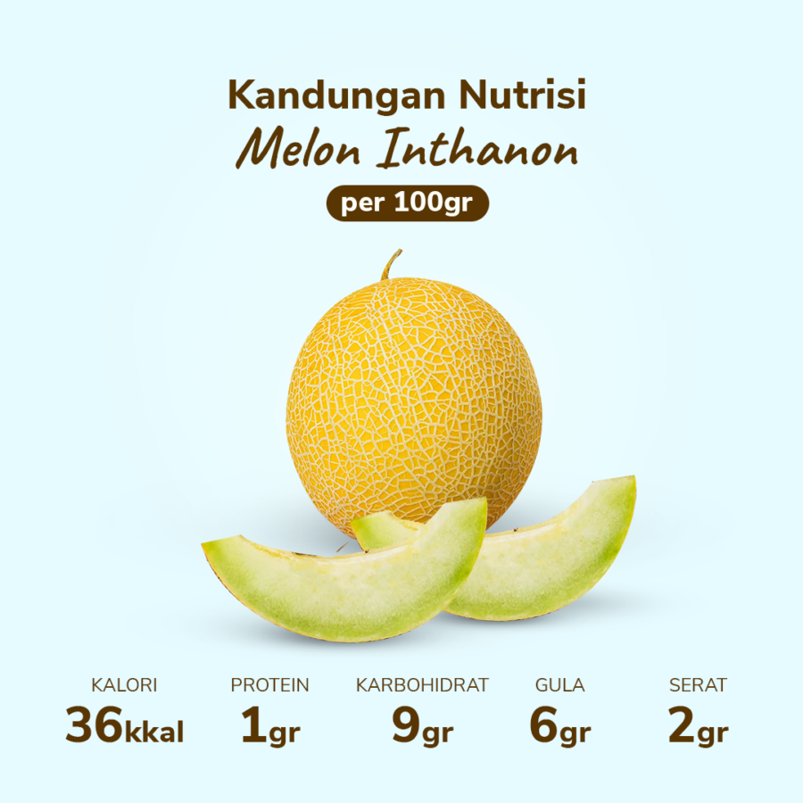 Melon Inthanon 1pcs 900-1200 gram_3