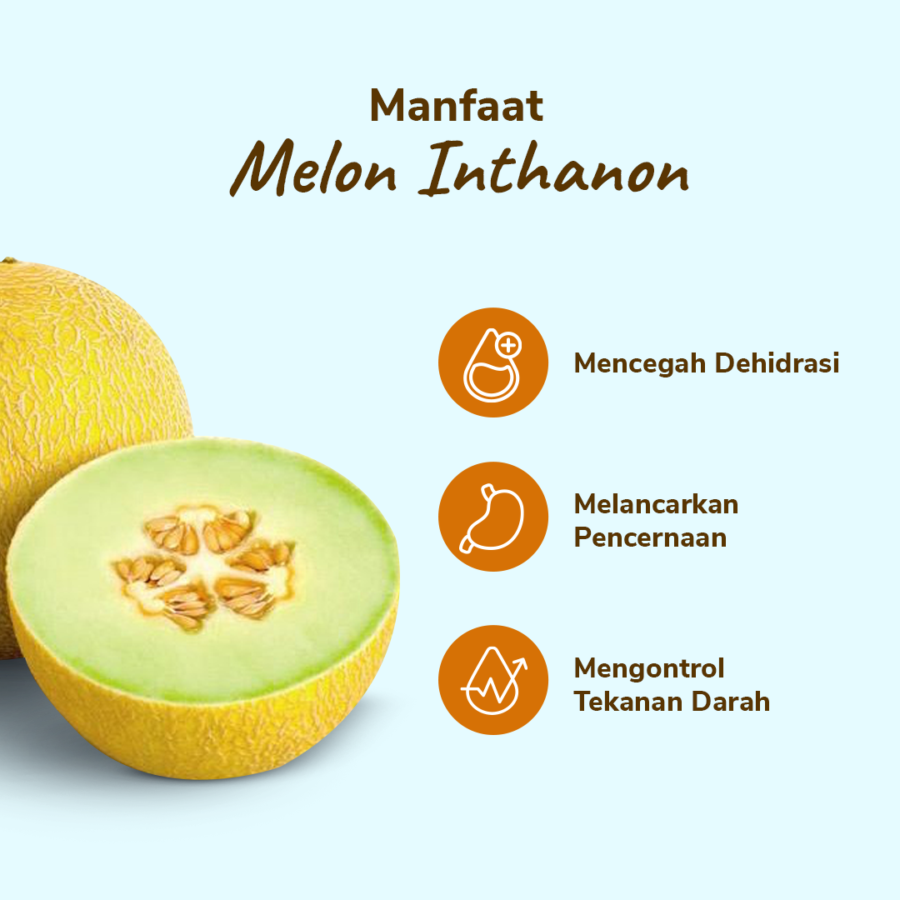 Melon Inthanon 1pcs 900-1200 gram_2
