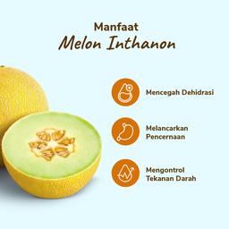 Melon Inthanon 1pcs 900-1200 gram