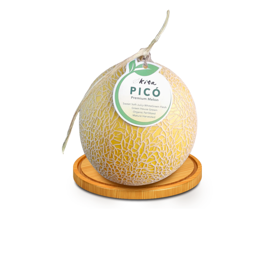 Melon Pico Premium - Size L 900gr - 1.2kg/Pcs