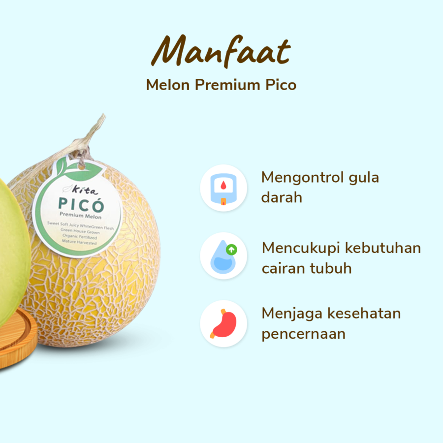 Melon Pico Premium - Size L 900gr - 1.2kg/Pcs_2