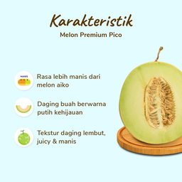 Melon Pico Premium - Size XL 1.3kg - 1.6kg/pcs