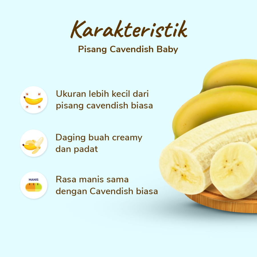 Pisang Cavendish Baby 5 pcs 330-510 gram_1