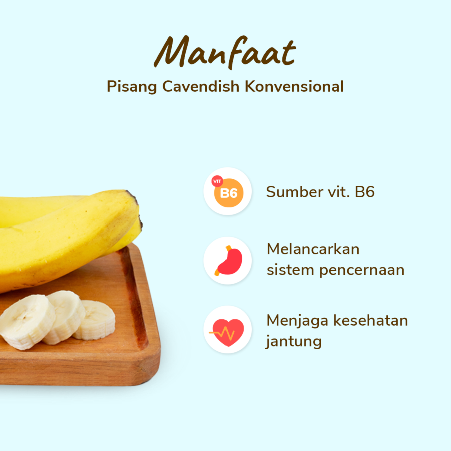 Pisang Cavendish pack 3-4 pcs 450-550 gram_2