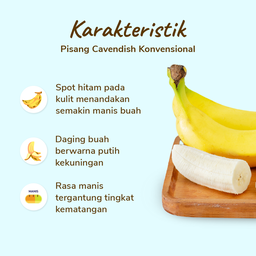 Pisang Cavendish pack 3-4 pcs 450-550 gram