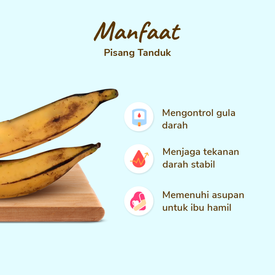 Pisang Tanduk pack 2 pcs 400-500 gram 2pcs_2