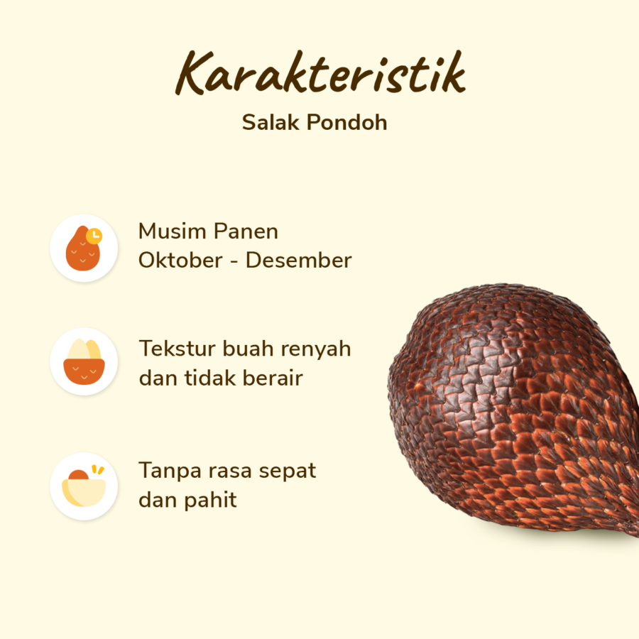 Salak Pondoh 5-7 pcs 500-550 gram_1