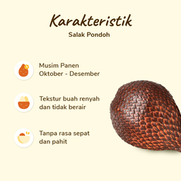 Salak Pondoh 5-7 pcs 500-550 gram