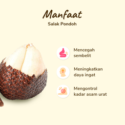 Salak Pondoh 5-7 pcs 500-550 gram