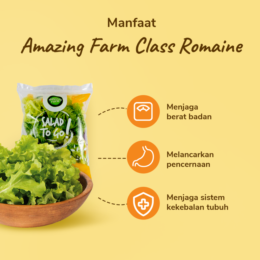 Amazing Farm Class Romaine Salad To Go 150gram_2