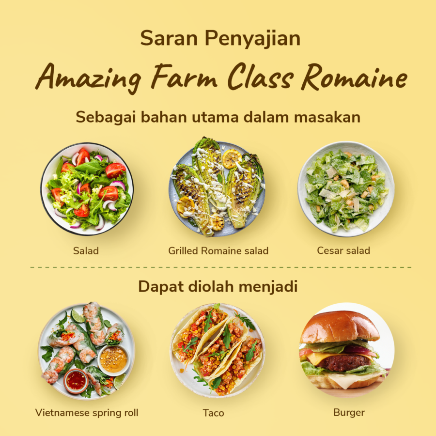 Amazing Farm Class Romaine Salad To Go 150gram_1