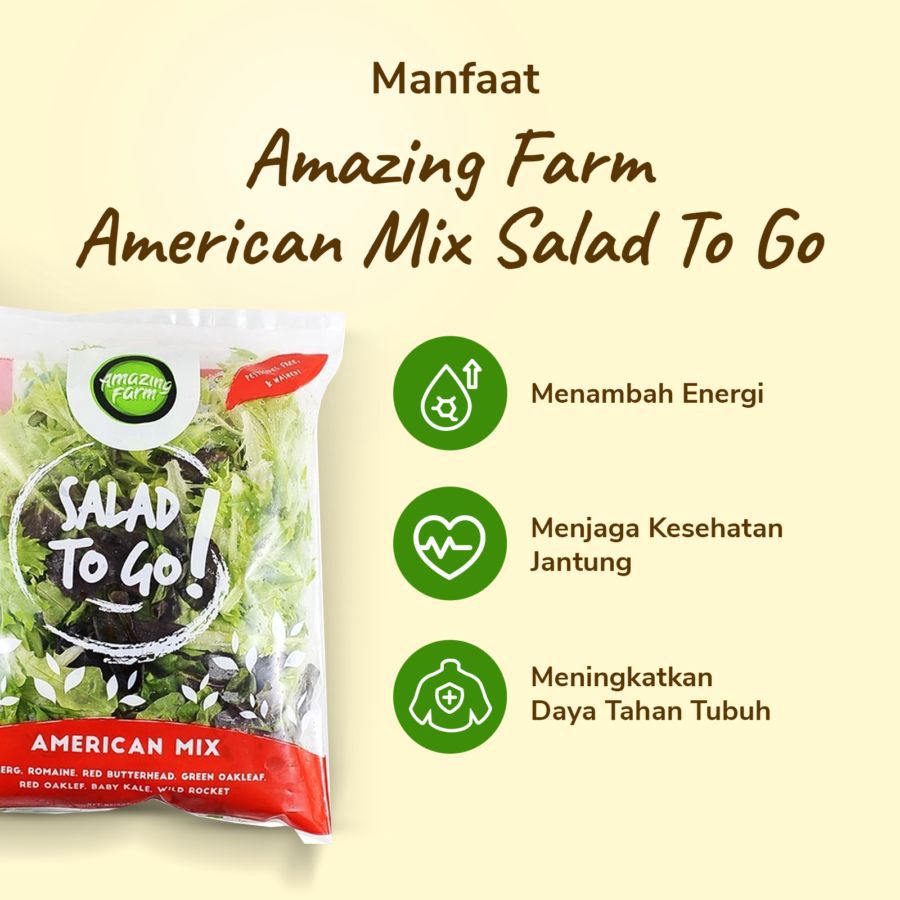 Amazing Farm American Mix Salad To Go 150gram_2