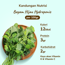 Bayam Hijau Hydroponic 200gram