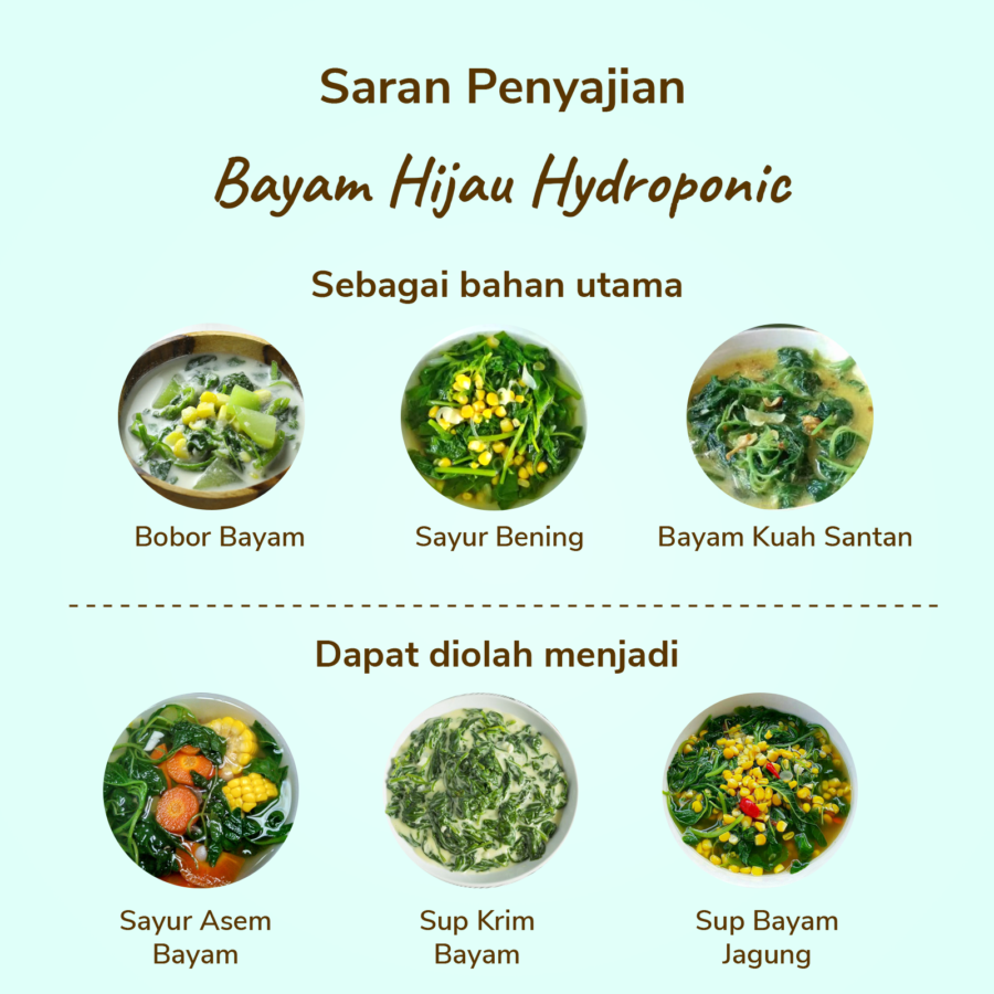 Bayam Hijau Hydroponic 200gram_1